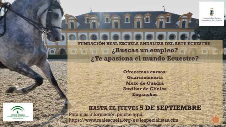 La Real Escuela Andaluza del Arte Ecuestre amplía el plazo de recepción de solicitudes y documentación para la inscripción en sus cursos de formación de especialistas hasta el jueves 5 de septiembre de 2019.