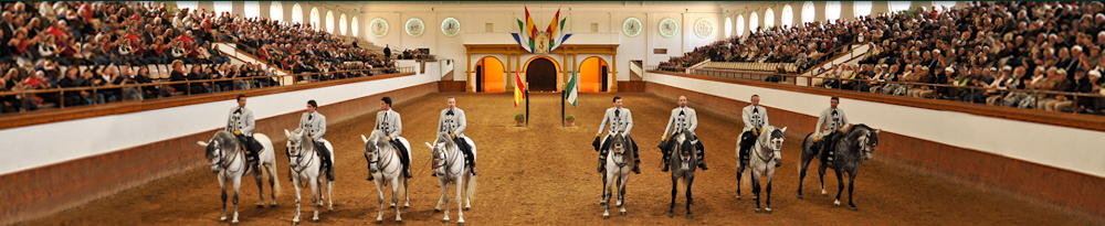 Patronos Fundación Real Escuela Andaluza Del Arte Ecuestre
