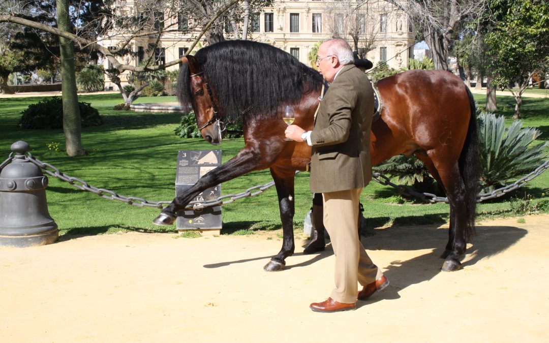 The Royal School and González Byass combine horses and wine in a new experience