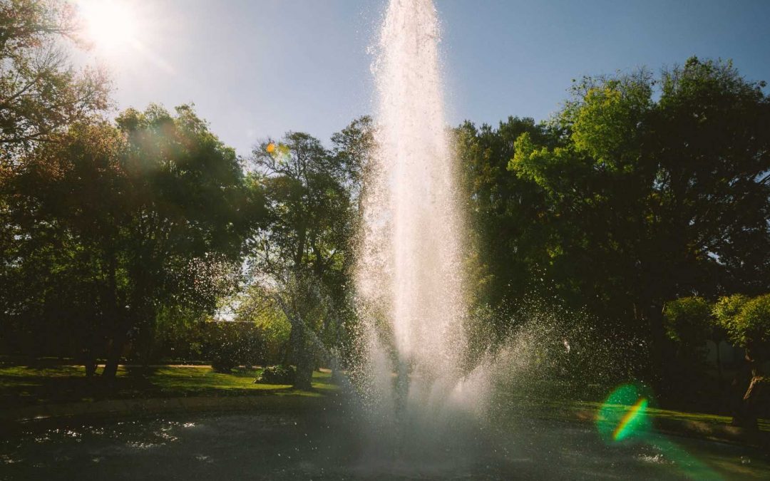 The Botanical Garden Guide of the Royal School