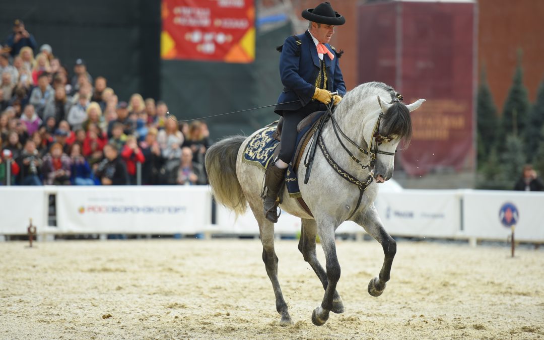 Subasta de caballos y yeguas