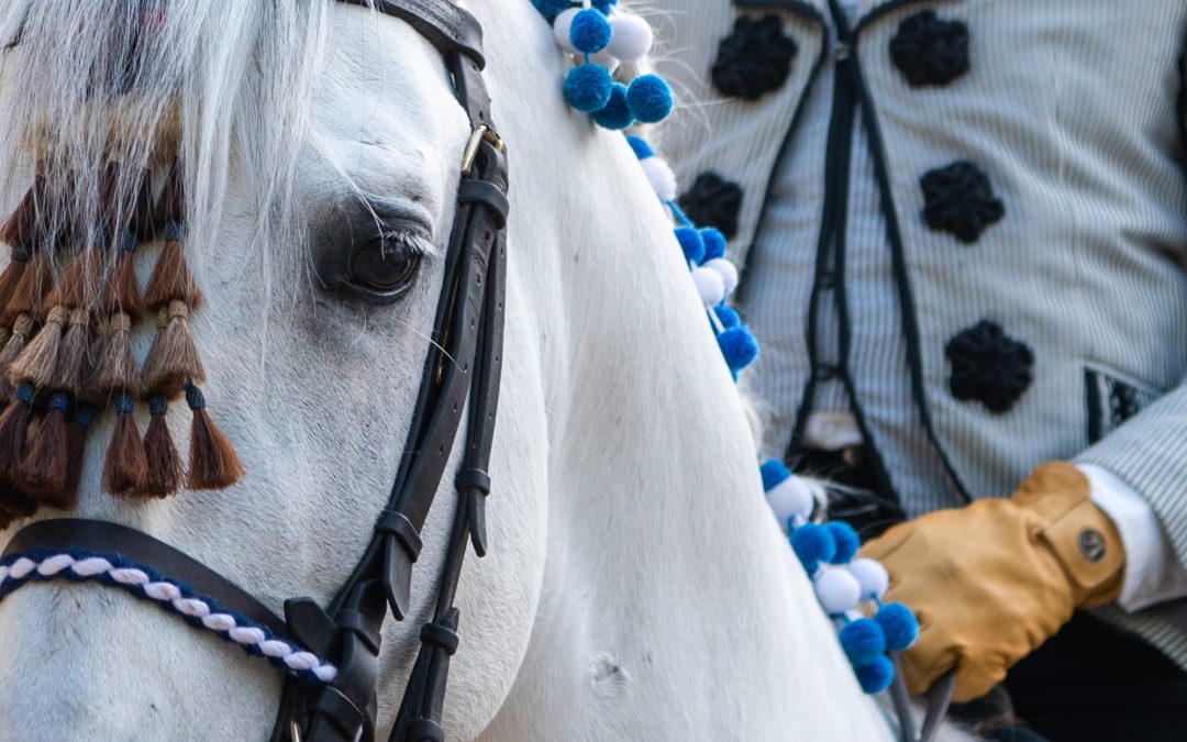 Espectáculo conmemorativo de la Feria de Jerez