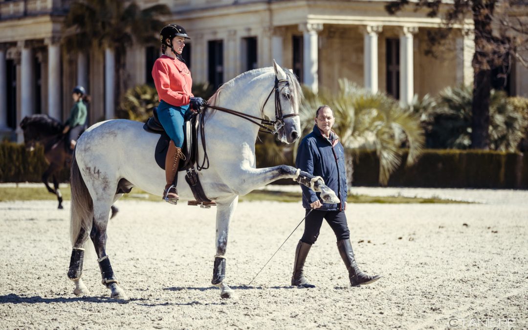 Technical Equestrian Courses Schedule For 2022 Fundaci n Real Escuela 