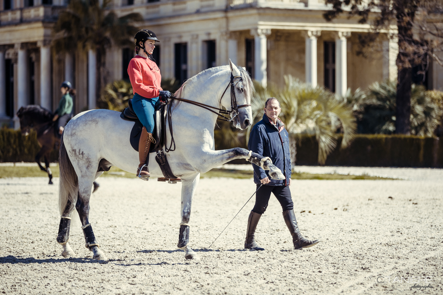 Technical Equestrian Courses Schedule For 2022 Fundaci n Real Escuela 