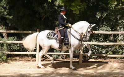 Subasta de caballos y yeguas