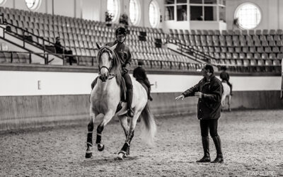 Technical Equestrian Courses Schedule for 2024