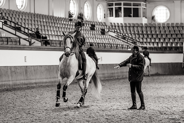Technical Equestrian Courses Schedule for 2024