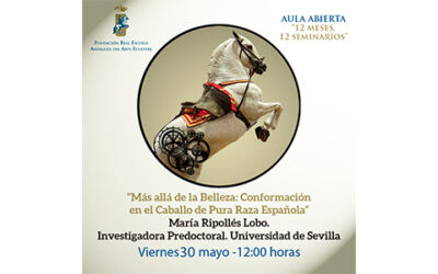 Más allá de la belleza: conformación en el caballo de Pura Raza Española