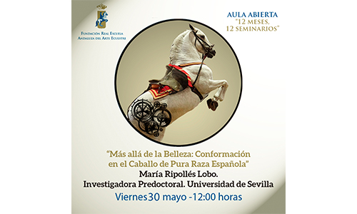 Más allá de la belleza: conformación en el caballo de Pura Raza Española