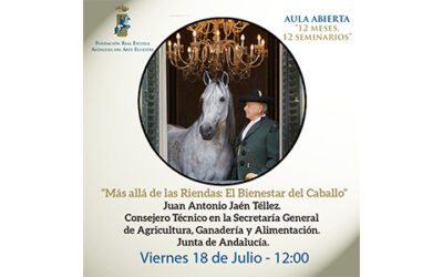Mas allá de las riendas: el bienestar del caballo