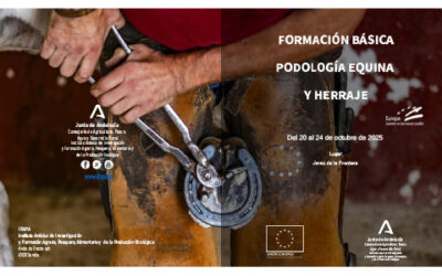 Formación básica en podología equina y herraje