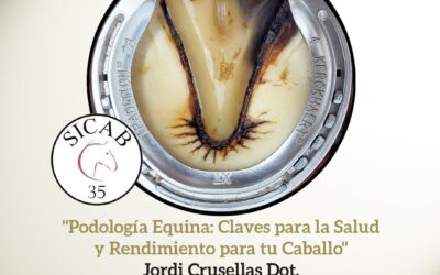 Aula Abierta: podología equina por Jordi Crusellas