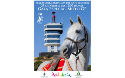 Espectáculo Gran Premio de Motociclismo