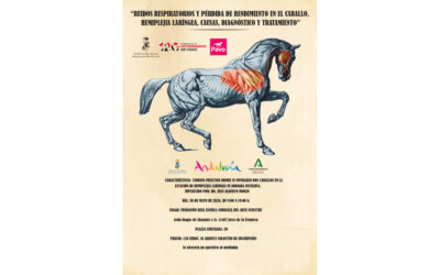Curso sobre Hemiplejia Laríngea en el Caballo: Diagnóstico y Tratamiento